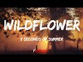 5 Seconds of Summer Wildflower Lyrics 5 Seconds of Summer Wildflower Lyrics