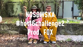 Kadr z teledysku #hot16challenge2 tekst piosenki Nosowska