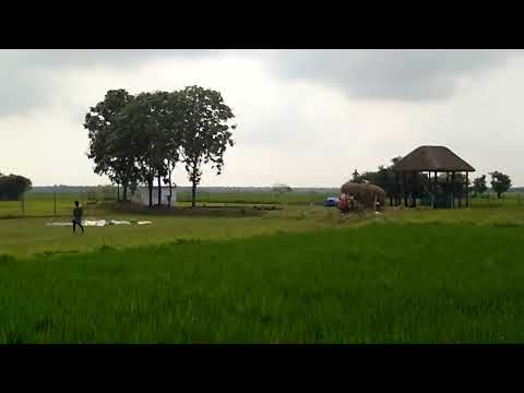 ad no,38 agriculture land sale ecr kadapakkam 9791186795