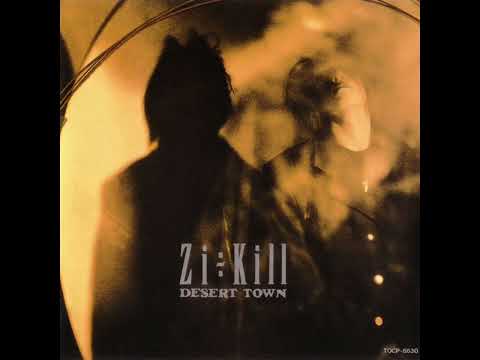Zi:Kill - Dear Junk