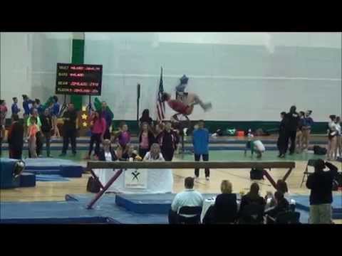 Jillian Creswell - 2014 Region 7 Level 9 Regional Championships 2nd AA