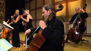 Bach; Giuliano Carmignola - Brandenburgs Concert no.6 video