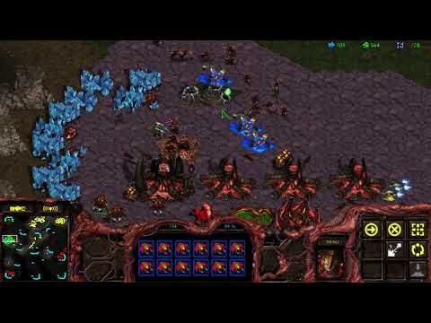 3v3 BGH Big Game Hunters Zerg Gameplay Starcraft Remastered 2019 #52