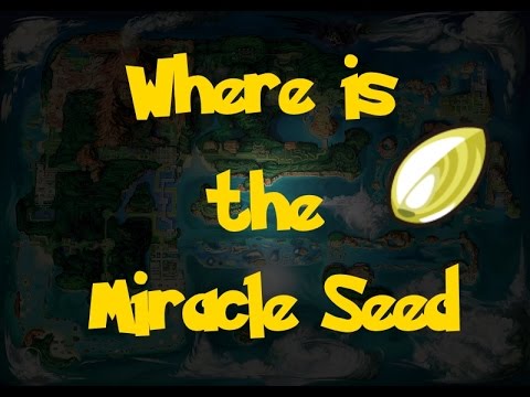 Where Is: The Miracle Seed (Pokemon Alpha Sapphire/Omega Ruby)