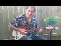Slim Harpo's King Bee Blues Guitar Lesson