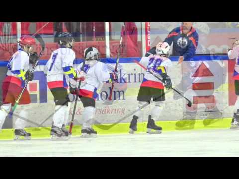 CZECH VIKINGS  1. místo na Lions Cup 2015 (Stockholm)