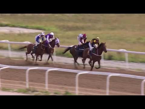 Lopp 7, 22 augusti 2018 - Bro Park