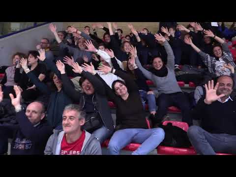 Happyfania Volley 2018