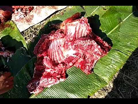 Bye Bye 2017(sha semba)