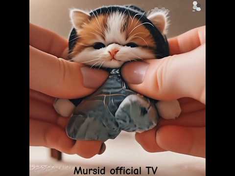 Cute cat manufacturing video cat ai animals #dancingcat #shortsfeed #tending #cat #funniestvideo 😝😜😜