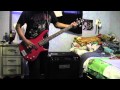 The Skinflicks - I Hate Hippies Bass Cover 