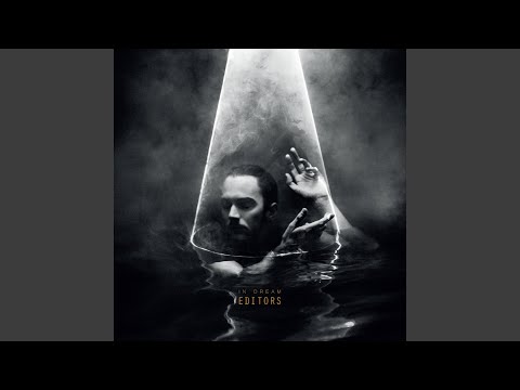 The Law video