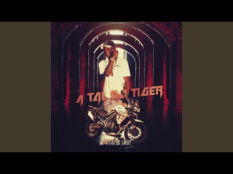A Tal da Tiger