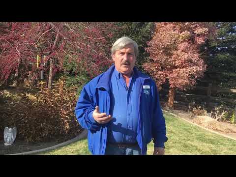 乾燥した気候における冬の水やり