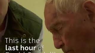 This is what assisted suicide actually looks like. video