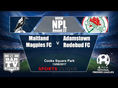 2017 NNSWF NPL Round 22 - Maitland Magpies FC v Adamstown Rosebud FC