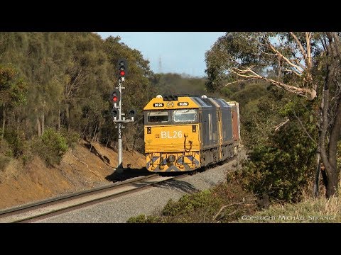 Pacific National 7901V Mildura Containers - PoathTV Australian Trains & Railways