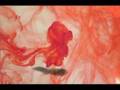 The Curtains "Spinning Top"