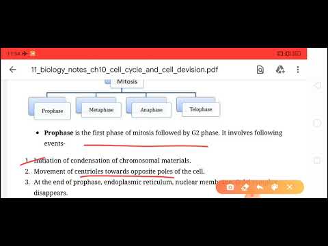 Cl11_biology_Ch10_cell cycle and cell division_Part1_141220