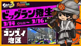【ビッグラン】200納品いきたいですねぇ【スプラトゥーン3/サーモンランNEXTWAVE】