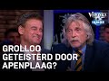 Grolloo geteisterd door apenplaag? | VERONICA INSIDE