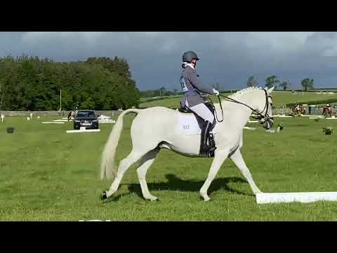 British Eventing Dressage Test BE90 Test 97 (2016)