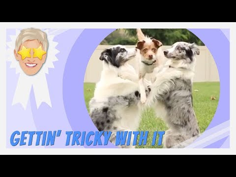 Gettin’ Tricky With It
