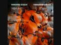 After The Call - Tangerine Dream - From The Album Tangines Scales