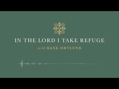 In the Lord I Take Refuge: Psalm 144 - My Rock and My Fortress