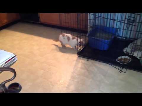 Feral Mary Fran's inaugural outing