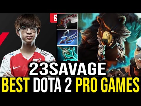 23Savage - Lone Druid | Dota 2 Pro Gameplay [Learn Top Dota]