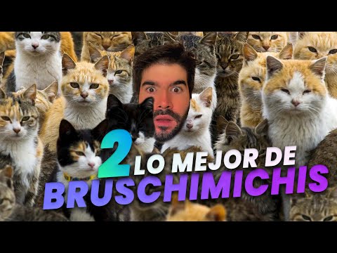 LO MEJOR DE LOS BRUSCHIMICHIS 2 - PABLO BRUSCHI