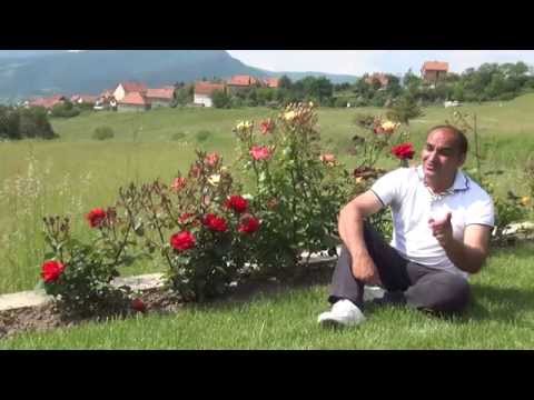 ORKESTAR ČAROBNJACI Mikica Krstić - Ćinjerjaca skurtă (Official video) 2014