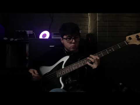 Torrentiiial - She Stole My Heart (Bass Cover)