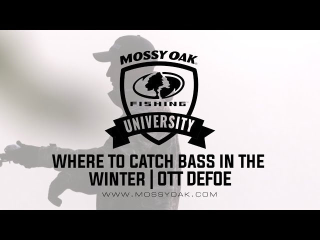 An Expert Guide to Winter Bass Fishing | Mossy Oak