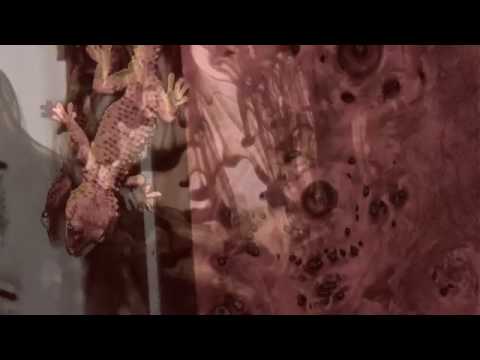 Diky & Tango Ramirez - Introspective  Official Video - Skutum Records 2016