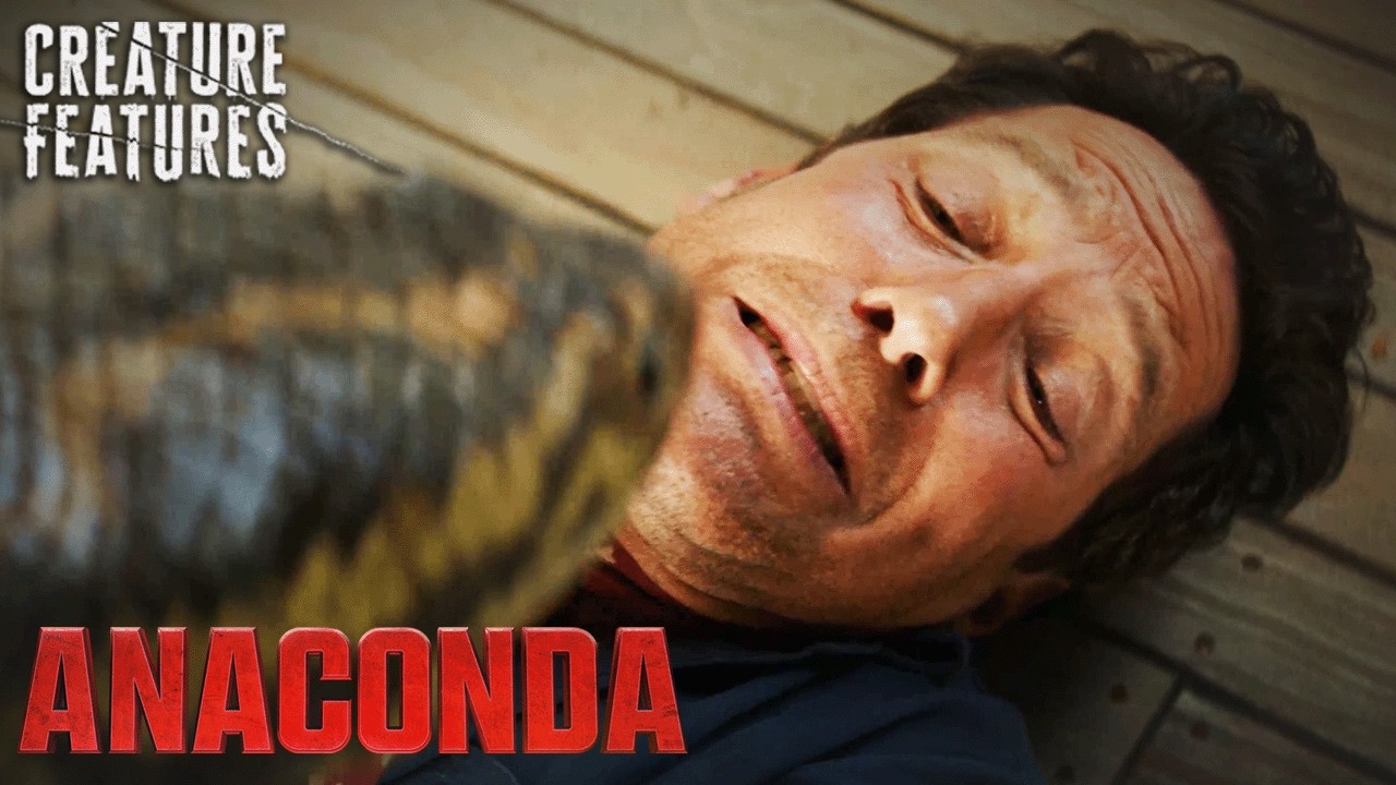 Anaconda — Snake Accidentally Gets Shredded In Turbine