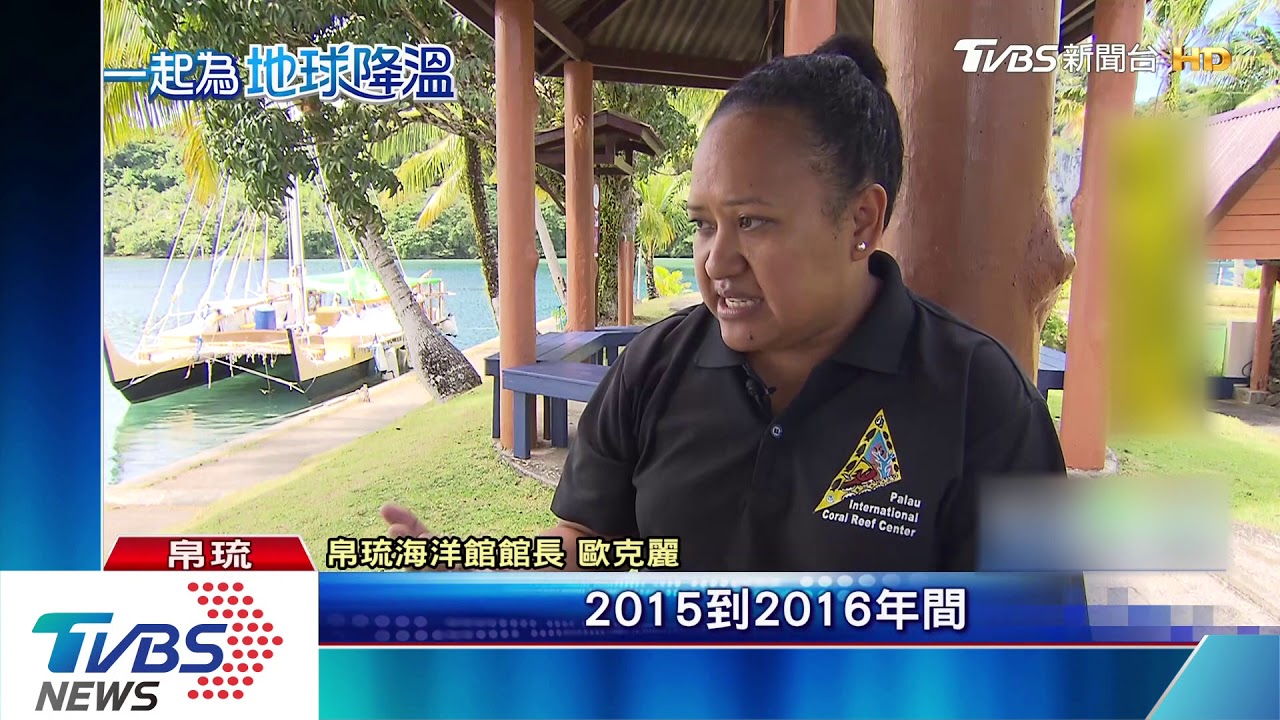帛琉水母湖重新開放 水母數量只剩兩成