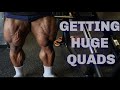 GETTING HUGE QUADS