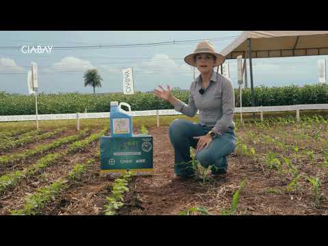 Tratamiento de Semillas - TratSeeds