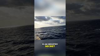 Secret Suites No Balcony, Better Ocean View! #royalcaribbean #royalamplified #cruisetipsandtricks