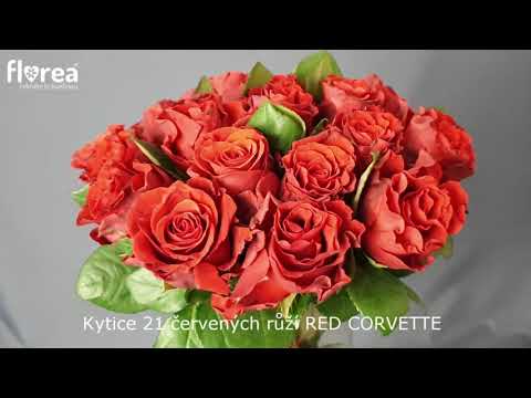 Kytice 21 červených růží RED CORVETTE 