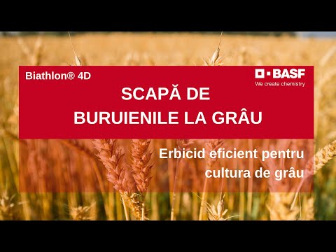 Biathlon Erbicidare paioase - Control EXCELENT al Tuturor Buruienilor