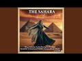 THE DESERT NIGHTS is COLD | Deep Ambient Arabic Background Music | Beautiful & Emotional Middle...