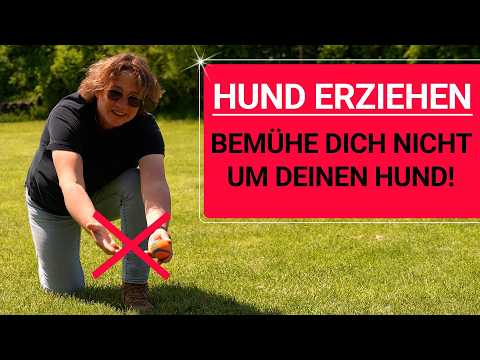 💥🚨🐶 The biggest mistake in dog training 👉 NEVER do this! 🐶💥✔️