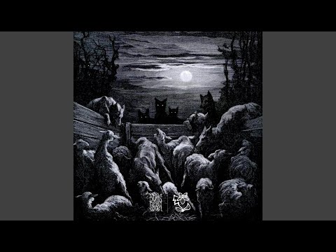 Raubtier (feat. Der Blühende)