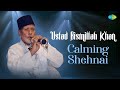 Ustad Bismillah Khan | Calming Shehnai | Indian Classical Instrumental Music | Audio Jukebox