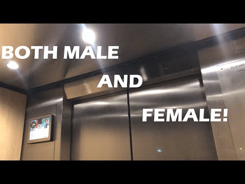 RARE VOICES! Otis Traction Elevators - 221 N LaSalle (LaSalle-Wacker Building) in Chicago, IL