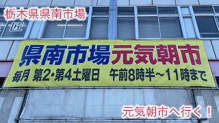 【オヤジのグルメ】【栃木県南卸市場】栃木県南卸市場朝市！　朝市でマグロを買う！