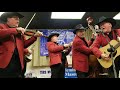 David Parmley and Cardinal Tradition  / Why Do You Wander
